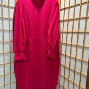 Chic Fuchsia Long Sleeve Dress